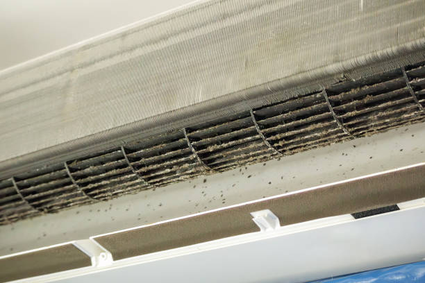 Best Ductwork Cleaning Services  in Port Angeles, WA