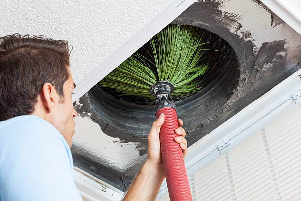 Best Air Vent Cleaning Services  in Port Angeles, WA